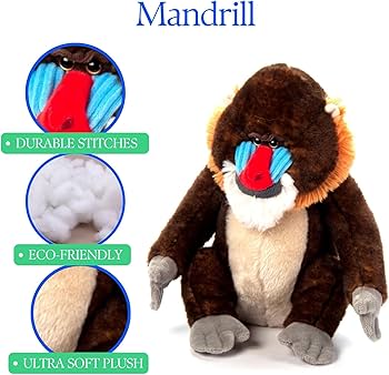 71o1+Qw-R7L._AC_UF350,